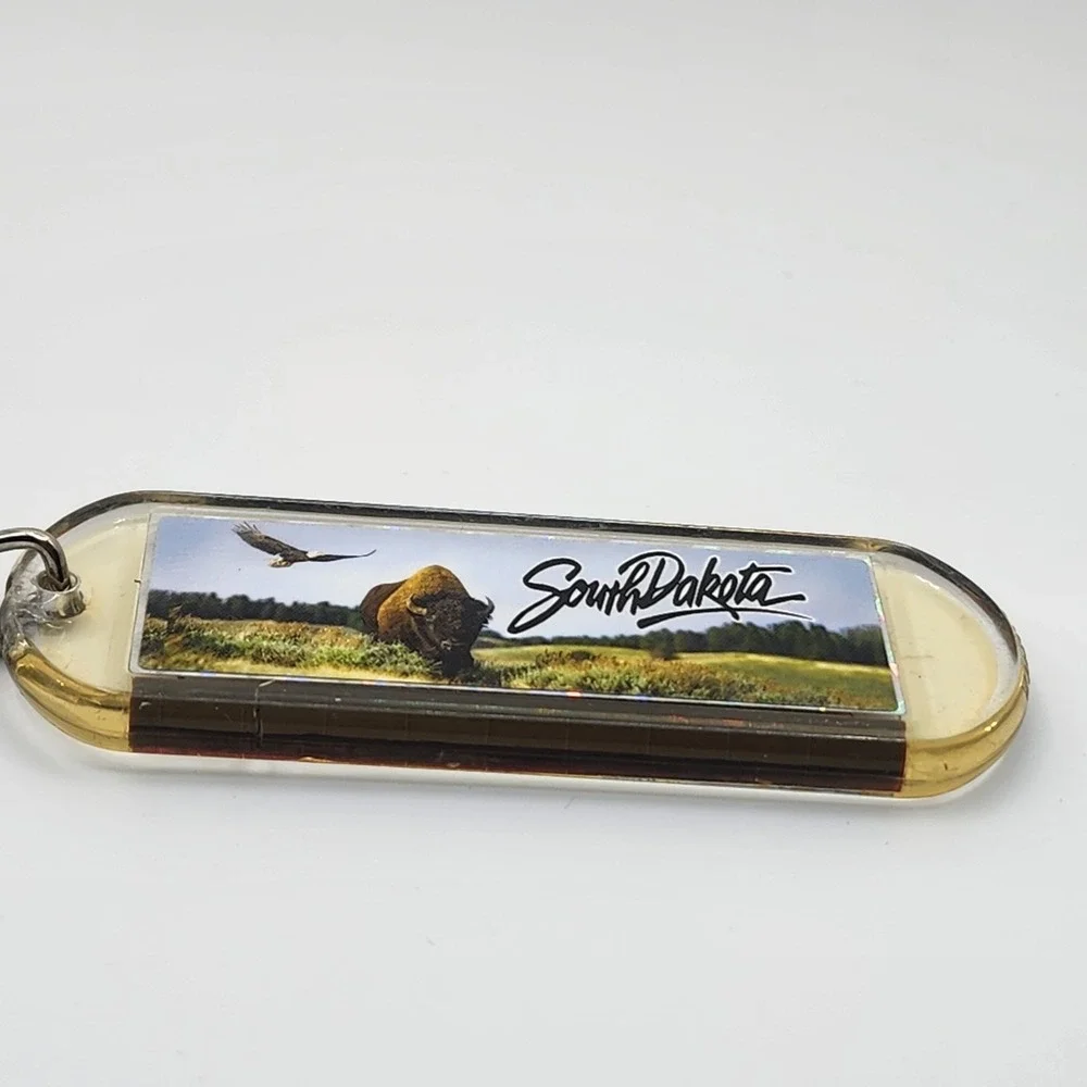 Vintage South Dakota Bison Eagle 